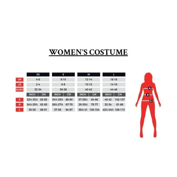 ABBA Mamma Mia Super Trooper 1970s Disco Queen Halloween Renaissance Costume NEW - Picture 5 of 9